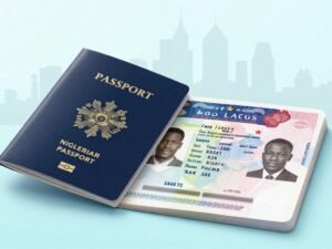 Immigration Services Nigeria