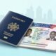 Immigration Services Nigeria